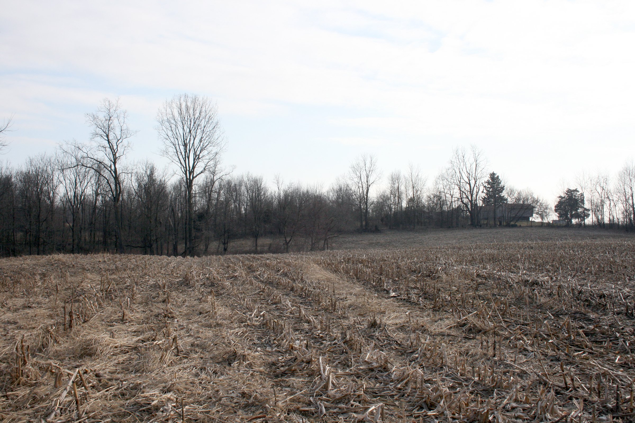 Property photo 8 - REAL ESTATE AUCTION - 84.5+/- ACRES IN 4 TRACTS IN WHITLEY COUNTY, INDIANA